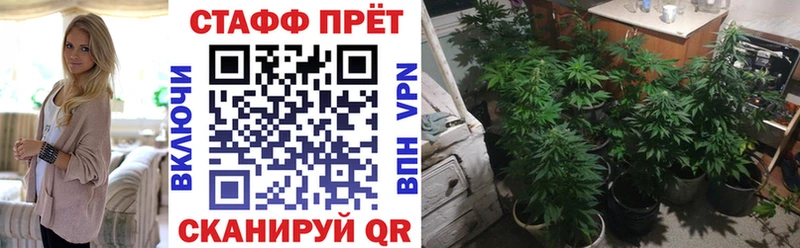 Купить Мефедрон  Нефтекумск