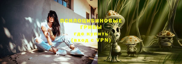 метадон Козельск