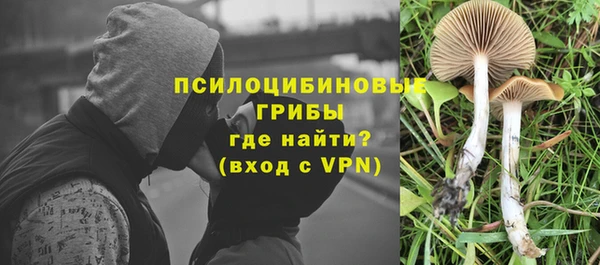 jwh Козловка