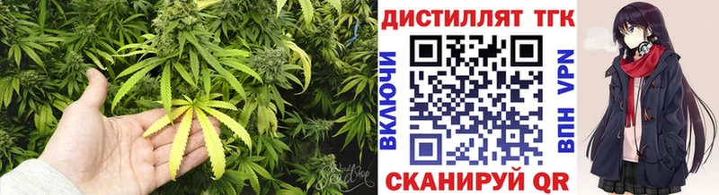 Дистиллят ТГК THC oil  Купить закладки  Нефтекумск 