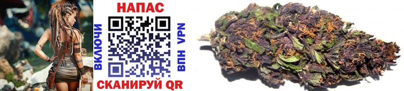 Купить закладки  Нефтекумск  Шишки марихуана Ganja 